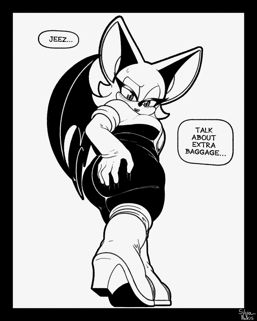 Rouge The Bat (Sega) Rule 34 Image