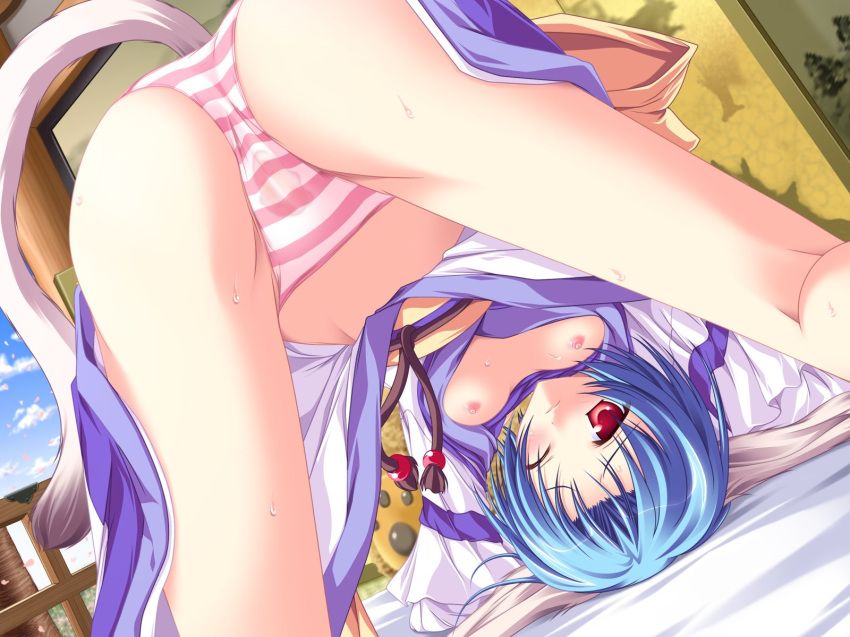 animal_ears blue_hair breasts cherry_blossoms doggirl game_cg haruhi_sarasa inakoi nipples panties red_eyes short_hair sky striped striped_panties tail tenmaso underwear wet