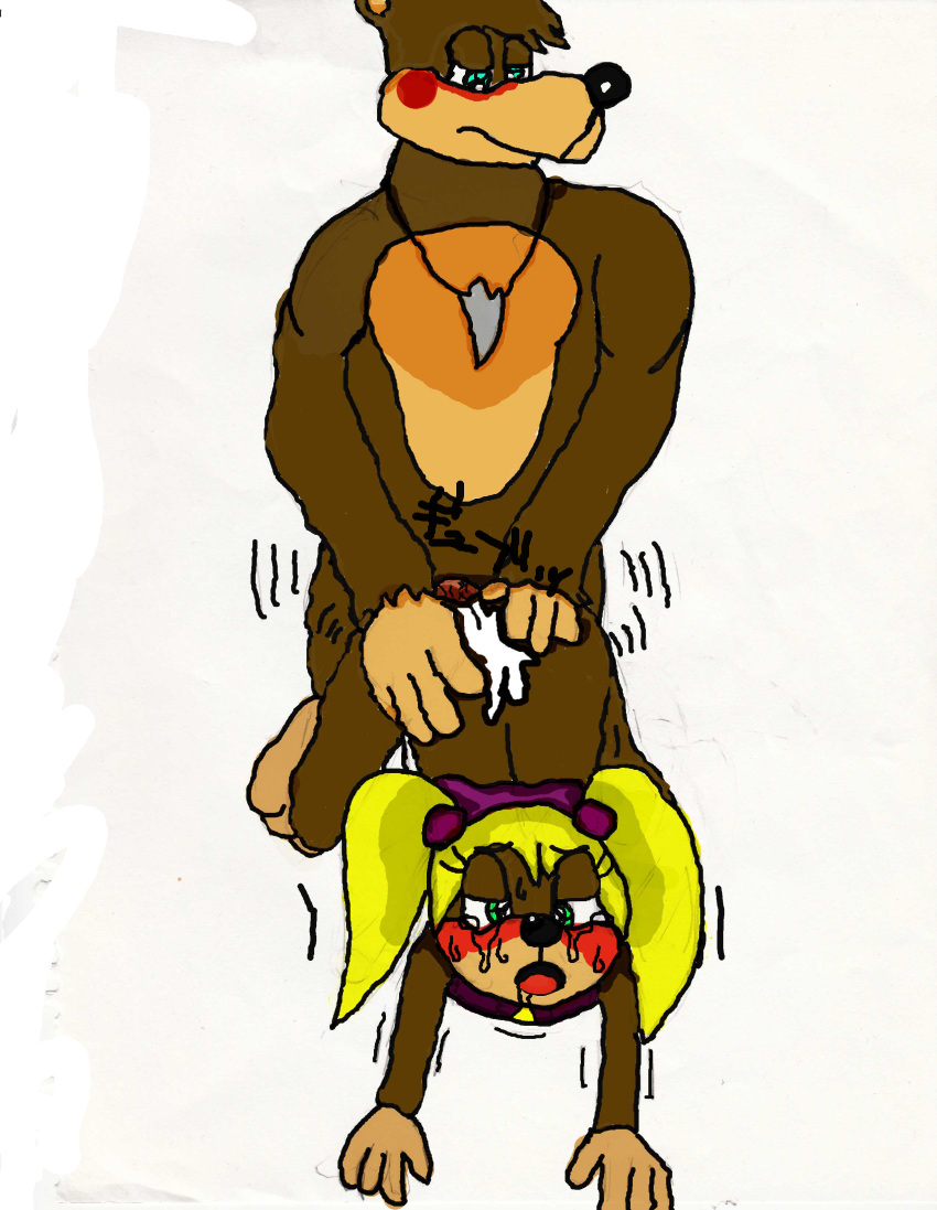 Banjo (Banjo-Kazooie) Rule 34 Image
