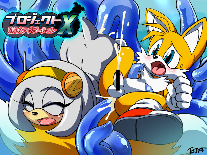 android anthro balls canine censored chaos_(sonic) cum female fox fur furry japanese male nude penis project_x_love_potion_disaster sega sex sonic_(series) tails tentacle tojyo zeta zeta_r-02 zeta_the_echidna