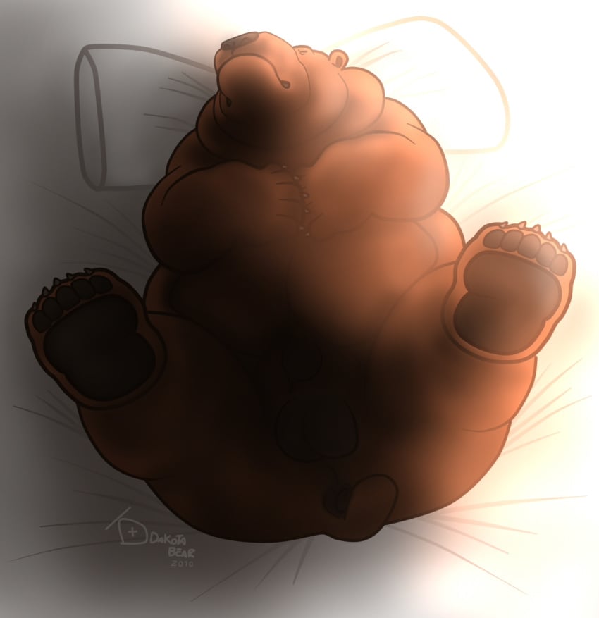 2010 anus balls bear bed brown_fur chubby dakota-bear feral fur grizzly_bear male male_only mammal sheath solo