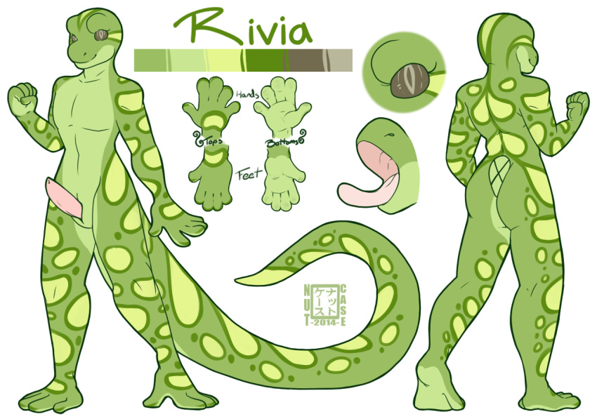 1boy 2014 anthro ass back_turned black_sclera clenched_fist erection gecko genital_slit green_scales lizard long_tail male male_only model_sheet open_mouth penis plantigrade pose redpandacase reptile rivia_green scalie slit slit_pupils solo tapering_penis tongue tongue_out