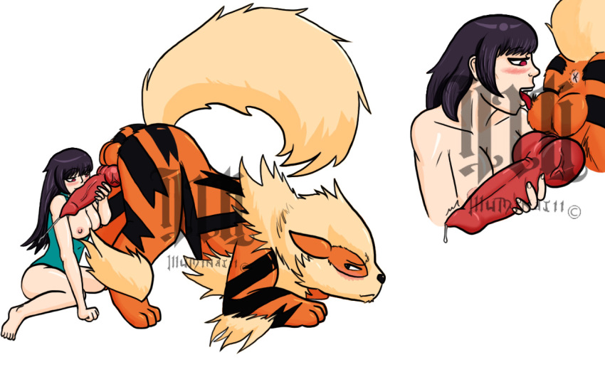 arcanine blush breasts clothes color cum fellatio female feral fur happy_sex human illuminatii interspecies licking licking_testicles male nipples nude oral oral_sex penis pokemon pokemon_(species) pokephilia side_view size_difference straight testicles