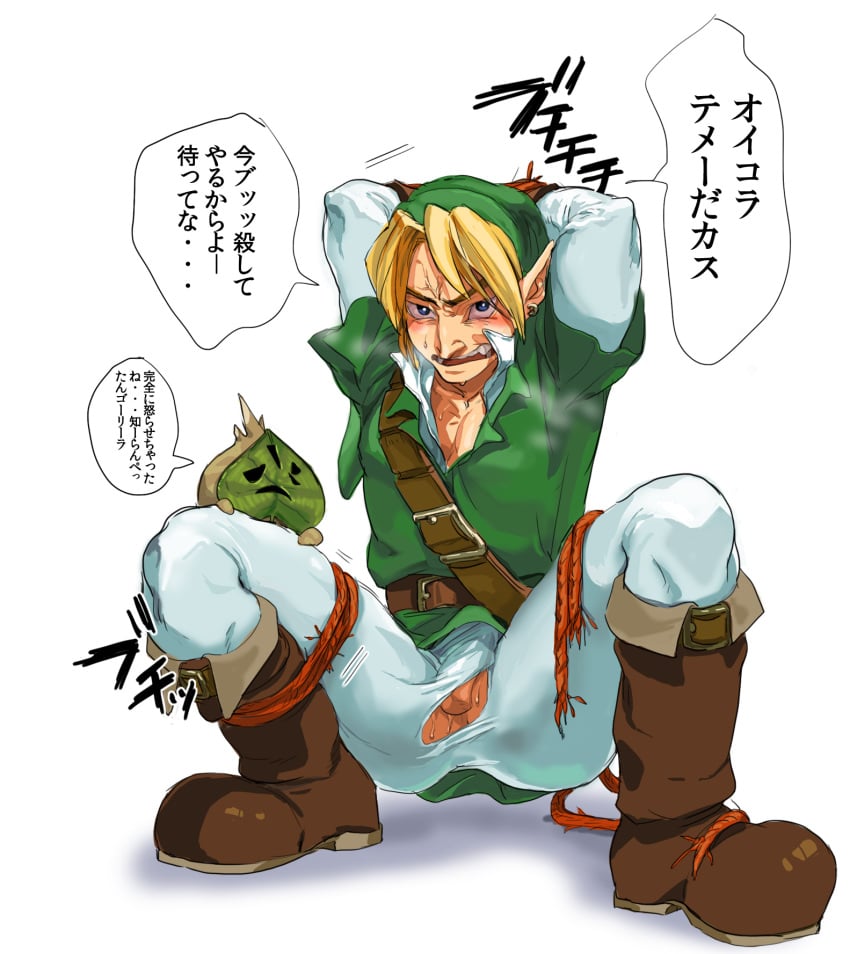 gay link link_(ocarina_of_time) makar ocarina_of_time the_legend_of_zelda the_wind_waker wind_waker yaoi