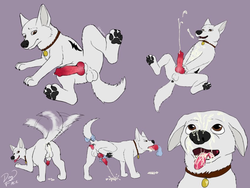 Bolt (Bolt) Rule 34 Image