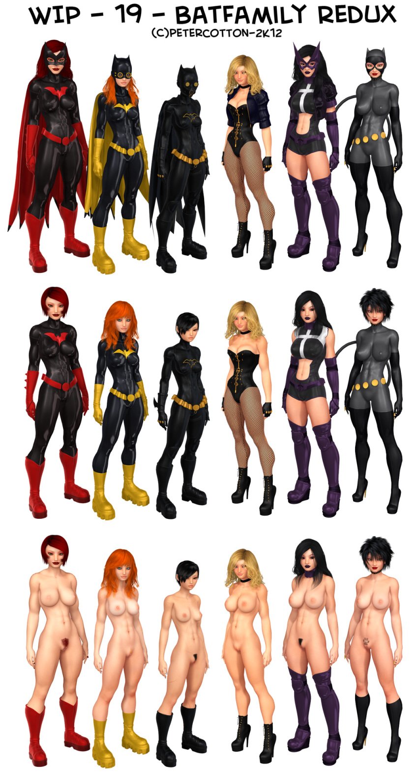 3d barbara_gordon batgirl batgirl_(cassandra_cain) batman_(series) batwoman black_bat black_canary cassandra_cain catwoman clothing dc dc_comics dinah_lance female female_only footwear green_arrow_(series) helena_bertinelli huntress_(dc) kate_kane orphan_(dc) petercotton pubic_hair selina_kyle