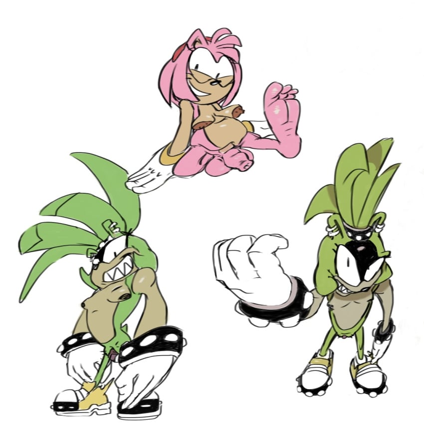 Amy Rose (Idw Publishing) Rule 34 Image