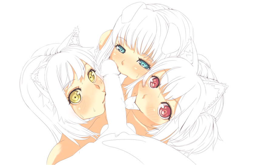 3girls animal_ear aqua_eyes blush collaborative_fellatio dog_ear face fellatio from_above licking multiple_girls oral original penis pink_eyes pov reason_(ficafe) sweat teamwork tongue uncensored work_in_progress yellow_eyes