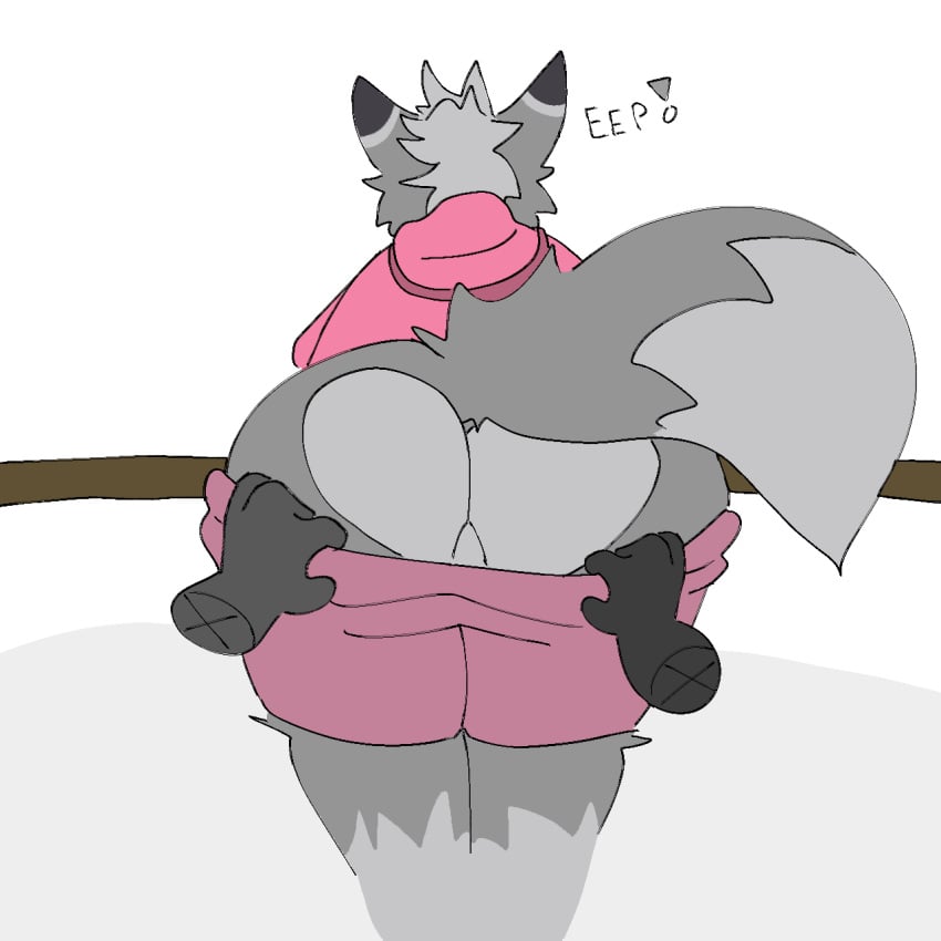 anthro arctic_fox ass balls bottomwear canid canine clothed clothing colored digital_drawing_(artwork) digital_media_(artwork) dovah_kiin floating_hands fox fur genitals grey_body grey_fur grey_hair hair hi_res hoodie male male/male mammal mrbubbleznsfw pink_bottomwear pink_clothing pink_hoodie pink_shorts pink_topwear shorts simple_background slightly_chubby solo tail thick_thighs topwear true_fox undressing