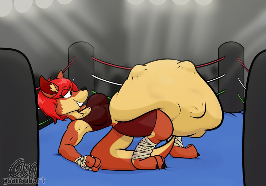 bandage bandages big_belly box boxing boxing_ring bulge fight fighting fighting_ring furry gamsobart_(artist) kangaroo kangaroo_girl kangaroo_humanoid vore vore_belly vore_warning