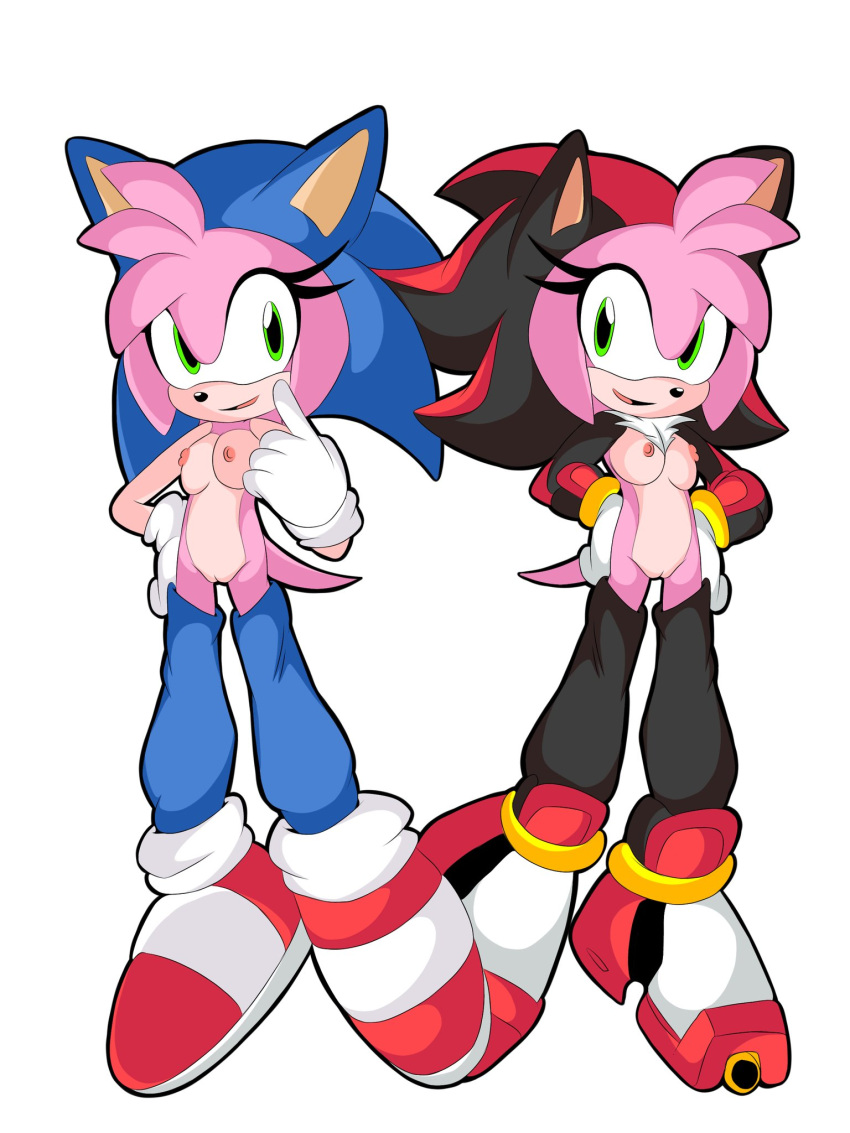 amy_rose j_nsfw shadow_the_hedgehog sonic_(series) sonic_the_hedgehog sonic_the_hedgehog_(series)