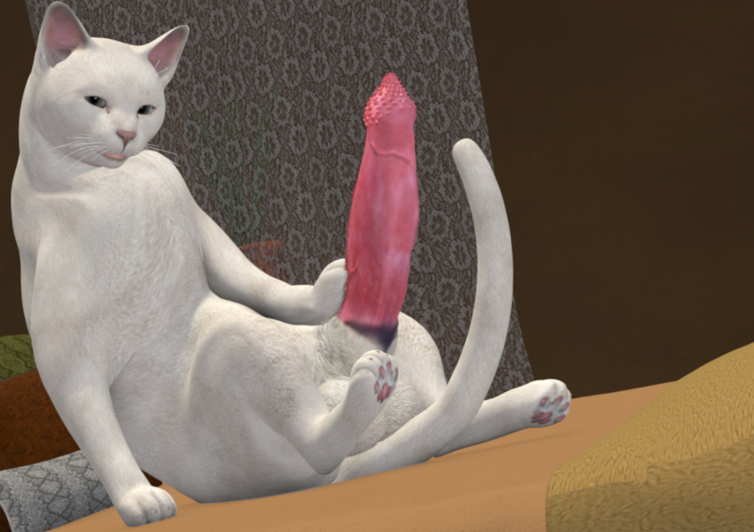 3d balls barbs feline erection feline feral hyper looking_at_viewer paws penetration penis sheath solo unknown_artist