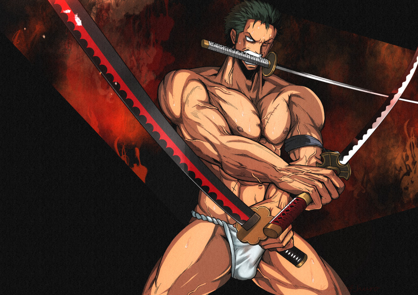 Roronoa Zoro (One Piece) Rule 34 Image