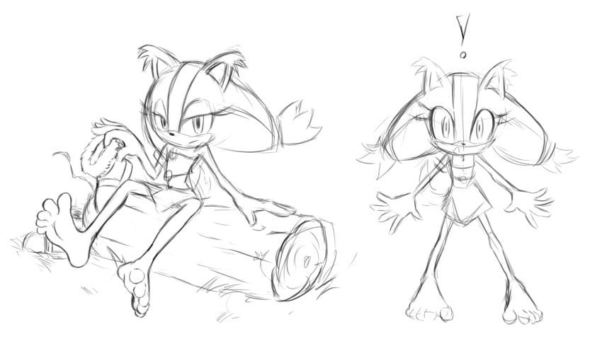 Sticks The Badger (Sega) Rule 34 Image