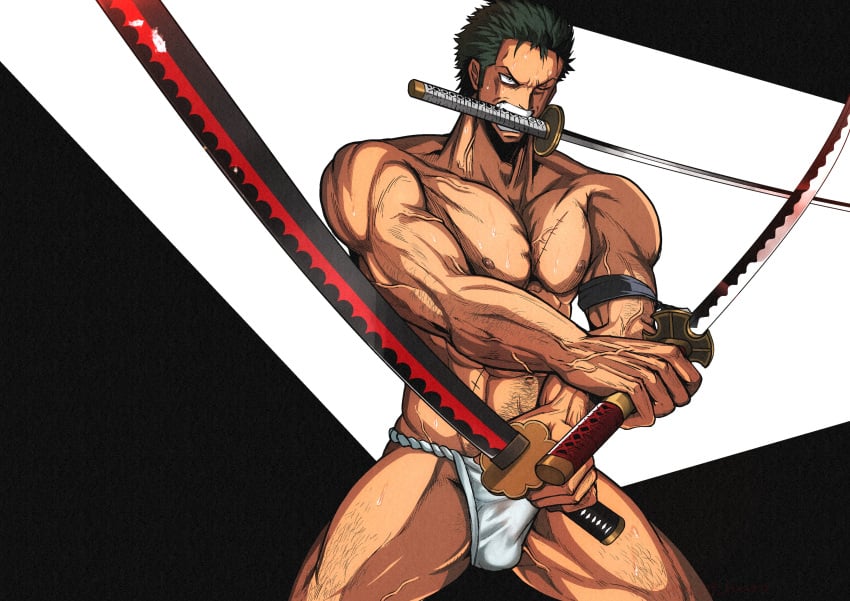 Roronoa Zoro (One Piece) Rule 34 Image
