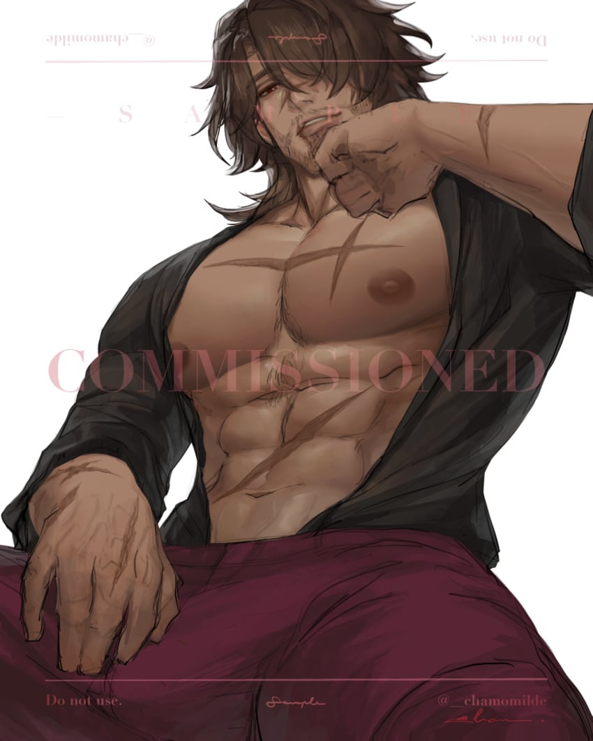 Gallagher (Honkai: Star Rail) Rule 34 Image
