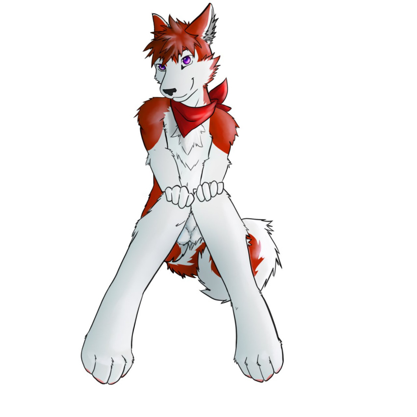 anthro balls canine cenny fur furry husky male_only nude shynjy