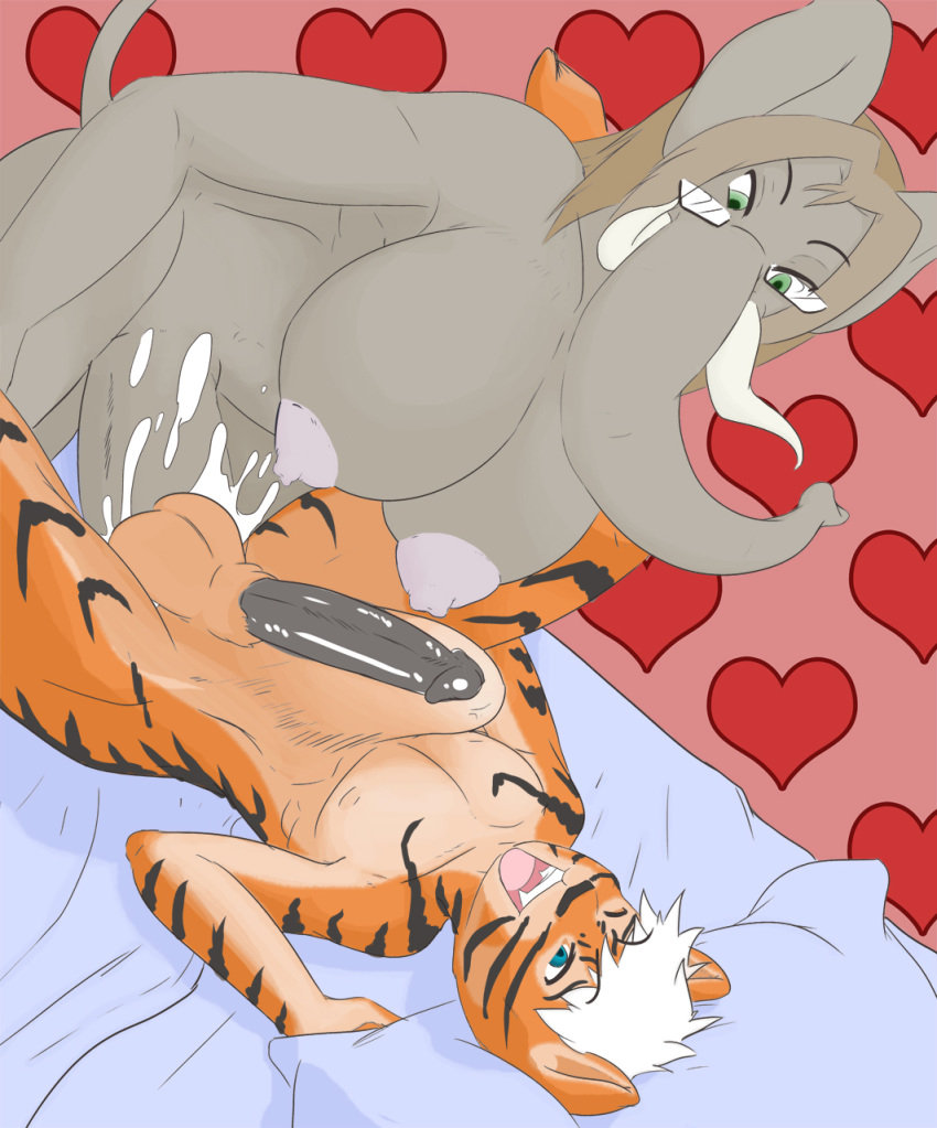 Elephant tiger hybrid