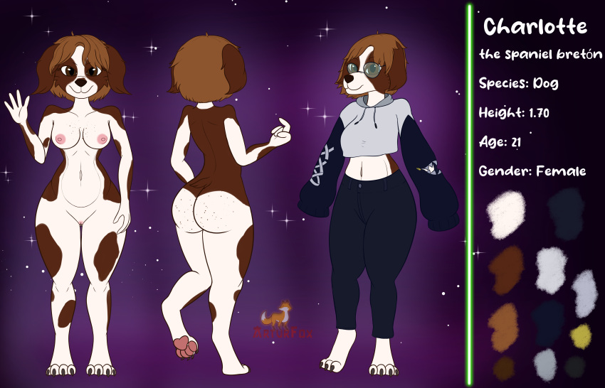 4_fingers 4_toes absurd_res anthro arturfox ass bird_dog bottomwear breasts brown_eyes brown_hair canid canine canis clothing domestic_dog english_text eyewear feet female fingers genitals glasses hair hi_res hunting_dog jacket mammal model_sheet navel pants paws pussy solo spaniel text toes topwear white_body