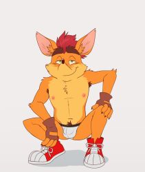 1boy activision anthro bandicoot body_hair bulge clothing crash_(series) crash_bandicoot fur furry furry_male furry_only gay green_eyes hair ijpalette-color jockstrap looking_at_viewer male male_only mammal marsupial muscular muscular_male pose simple_background smile solo underwear video_games