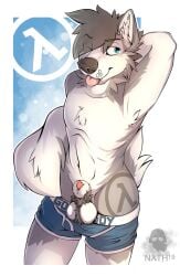 1boy animal_genitalia anthro ball_tuft balls canid canine canis clothing domestic_dog genitals half-life hi_res husky lambda male male_only mammal nath_husk nathhusk_(artist) nordic_sled_dog sheath solo spitz tagme tuft underwear