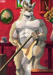 absurd_res anthro biped cane canid canine countershade_face countershade_fur countershade_torso countershading eyebrows fingers flaccid fur genitals hi_res inner_ear_fluff male male_focus male_only mammal monsterplus muscular muscular_anthro muscular_male penis solo tail tuft