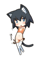 black_hair blue_eyess blush chibi copyright_request jingai_modoki ningai_modoki panties pussy short_hair side-tie_panties tail tank_top thighhighs underwear wardrobe_malfunction white_legwear white_thighhighs