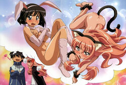 2girls angry animal_ears artist_request black_hair blush bunny_ear cat_ears cat_pose clothing color covering_breasts enf female hiraga_saito large_breasts long_hair louise_francoise_le_blanc_de_la_valliere multiple_girls nude nude_filter paw_pose photoshop pink_hair siesta tail zero_no_tsukaima