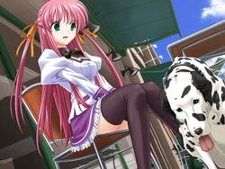 aihara_sarina canine canine_on_human delta female female_human green_eyes human male male/female male_canine pink_hair shiiku_hakusho shiiku_hakusho_-_kusari_ni_tsunagareta_doukyuusei thighhighs zoophilia