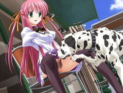 aihara_sarina canine canine_on_human censored cunnilingus cunnilingus_from_canine delta female female_human green_eyes human male male/female male_canine pink_hair shiiku_hakusho shiiku_hakusho_-_kusari_ni_tsunagareta_doukyuusei thighhighs zoophilia