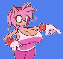 amy_rose_(riders) big_breasts clothing lacketk sonic_riders voluptuous_female