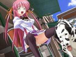 after_vaginal aihara_sarina canine canine_on_human censored cum delta female female_human human male male/female male_canine pink_hair shiiku_hakusho shiiku_hakusho_-_kusari_ni_tsunagareta_doukyuusei thighhighs zettai_ryouiki zoophilia