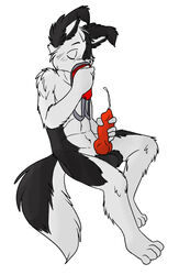 anthro balls border_collie canine dog fur furry handjob jesse jockstrap male male_only masturbation nude penis sitting sniffing solo underwear