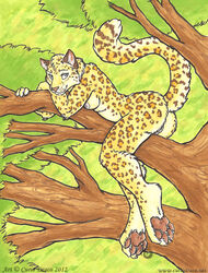 anthro breasts curiodraco feline female fur furry green_eyes hindpaw leopard looking_at_viewer nude paws pinup pussy solo tree wood