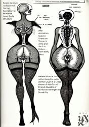 diagram faceless from_behind horror medical no_arms reanimated thick_thighs zombie