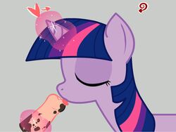 animated equine fellatio female friendship_is_magic horse licking lonewolfkait male my_little_pony oral oral_sex penis pony sex straight straight_hair tongue twilight_sparkle_(mlp)