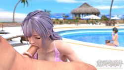 1boy 1girls 3d animated dead_or_alive dead_or_alive_xtreme_venus_vacation fellatio fiona_(doa) no_sound oral renzuki_harai video