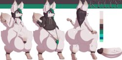 2018 absurd_res alpha_channel anthro ass balls big_balls big_butt black_hair canine clothing erection fennec flaccid fluffy fox fur girly goth hair hi_res hoodie huge_balls huge_butt humanoid_penis hyper hyper_balls hyper_butt hyper_hips hyper_penis impaledwolf male mammal model_sheet nipple_piercing nipples nude penis piercing superabsurd_res teal_eyes text thick_thighs thong white_fur