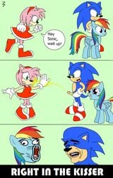 3pac amy_rose blue_fur comic crossover friendship_is_magic furry hedgehog mammal meme my_little_pony rainbow_dash_(mlp) smooth_skin sonic_(series) sonic_the_hedgehog what