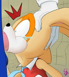 1boy 1girls animal_penis anthro blowjob body_fur color cream_the_rabbit deepthroat erection fellatio female fourball furry hand_on_head hedgehog interspecies male oral oral_sex partial_male penis rabbit sega sonic_(series) sonic_the_hedgehog straight toony veiny_penis