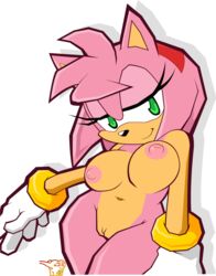 alpha_channel amy_rose anthro breasts color female female_only for_sticker_use front_view fur furry gloves gomi-sama hedgehog nipples nude pink_fur pink_hair png pussy smile solo sonic_(series) sticker_template tagme transparent_background transparent_png