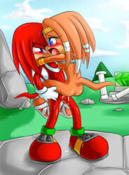 2d ass beige_skin black_nose blue_eyes blush bottomless breasts clothes color echidna exposed_breasts eyes female fur furry furry_ass furry_breasts hair knuckles_the_echidna male mammal master_emerald mobian mobian_(species) mobian_echidna monotreme open_eyes open_mouth orange_fur orange_hair outdoors purple_eyes red_fur red_hair sega sex shirt_life shoe sonic_(series) sonic_adventure sonic_the_hedgehog_(series) straight tikal_the_echidna topless vaginal_penetration