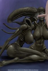 alien_(franchise) alien_girl big_breasts blowjob fellatio female_xenomorph feral_penetrated human nihilophant teeth xenomorph