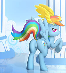 friendship_is_magic my_little_pony rainbow_dash_(mlp) randomdouche smooth_skin tagme