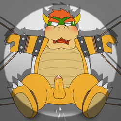 bowser male_only mario_(series) nintendo penta002 tagme