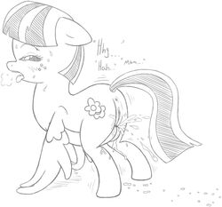 blossomforth from friendship is magic