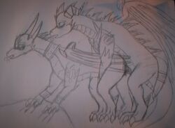 cynder dragon female feral feral_on_feral male mythological_creature mythological_scalie mythology scalie spyro_the_dragon tagme