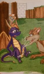 anthro being_watched bianca_(spyro) cheetah cum cumshot dragon feline furry hunter_(spyro) penis spyro spyro_the_dragon yaoi