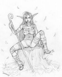 female night_elf suumunster tagme world_of_warcraft