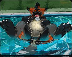 absurd_res anthro belly big_belly bodily_fluids bulge canid canine cum cum_from_ass cum_from_mouth cum_in_ass cum_in_mouth cum_inside filled_belly filled_with_cum fox genital_fluids hi_res inflatable male mammal null pool_toy squish streched swimming_pool